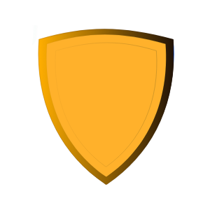 defense icon